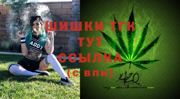 соль ск Абинск