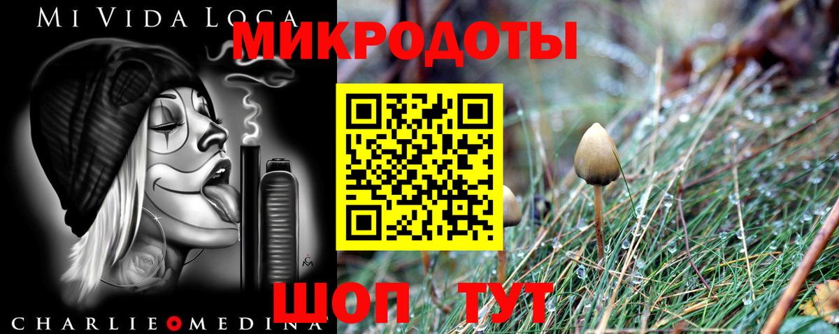Сокол  Псилоцибиновые грибы ЛСД  даркнет сайт  Вход с VPN 