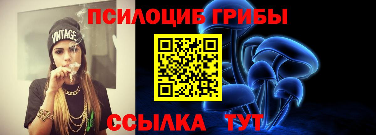Псилоцибиновые грибы ЛСД Сокол