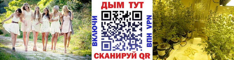 Бошки марихуана Amnesia  МЕГА ONION  Сокол 